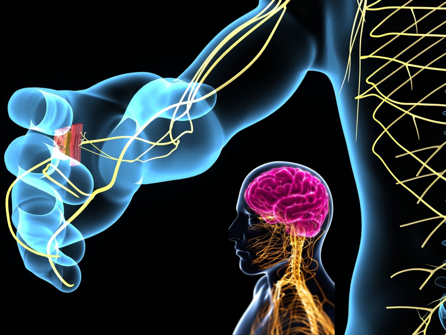 Chronic Pain & The Nervous System • Connected Rheumatology